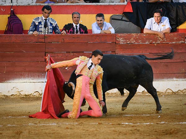 Ajustado por la espalda