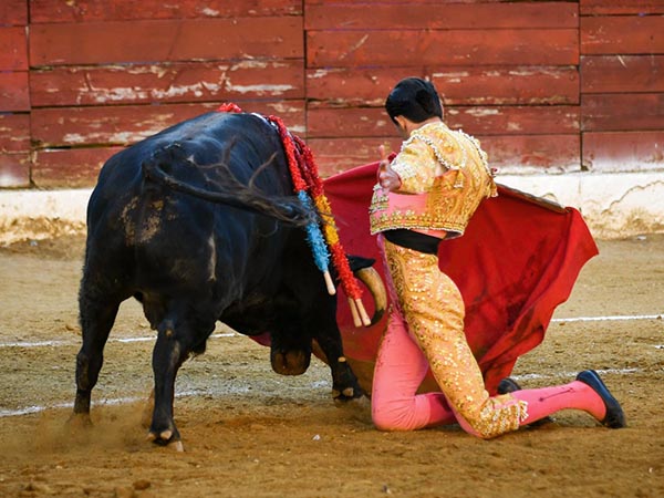 Deseos de agradar