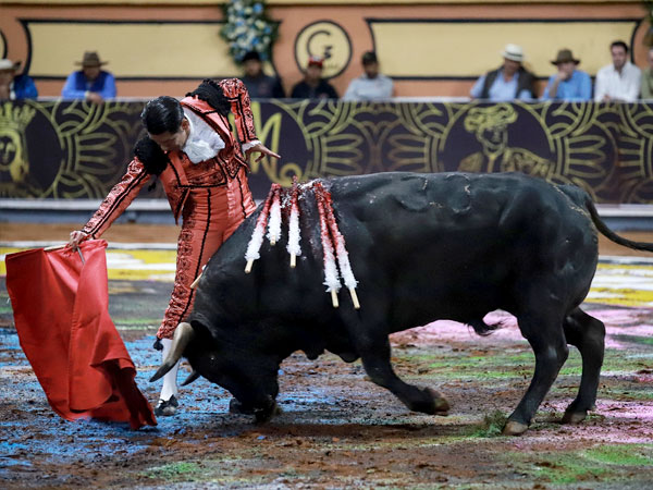 Tauromaquia personal