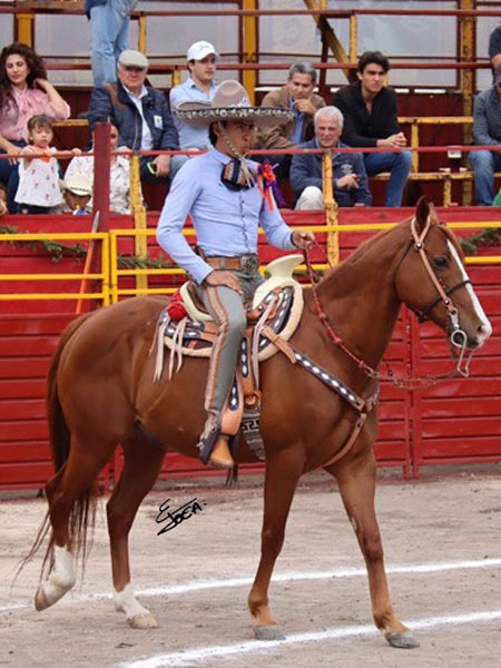 Alguacil charro