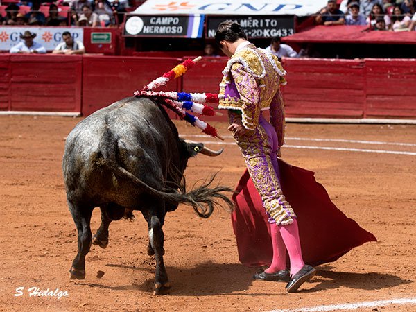 Aqu hay un gran torero