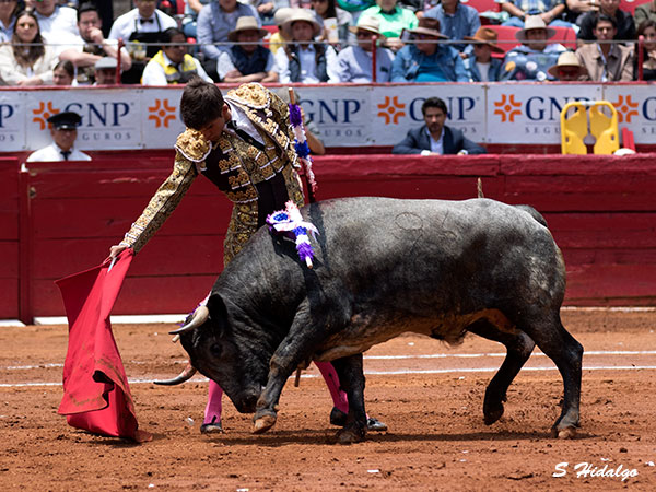 Manuel Caballero, entonada faena