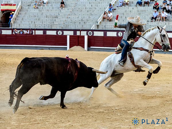 Piruetas en el tordo