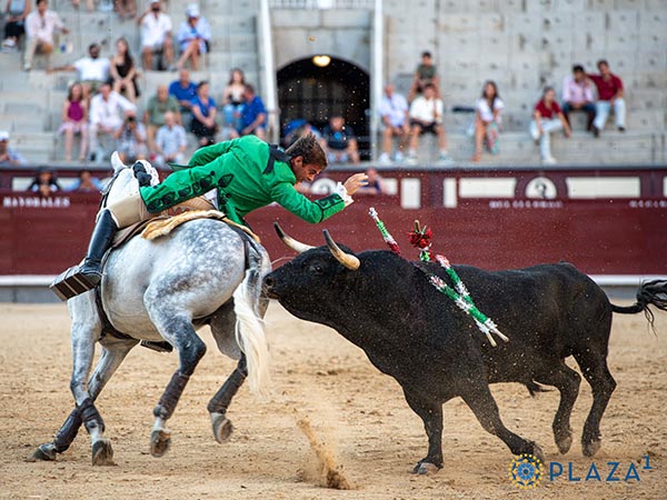 Valiente caballista