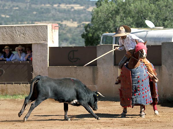 Al llamado del picador de casa