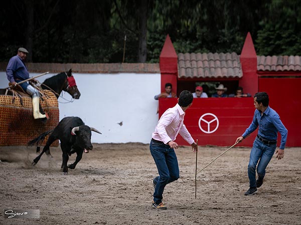 Una vara o manguera como trastos