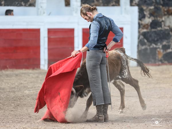 Ganadero y torero, ayuda mutua