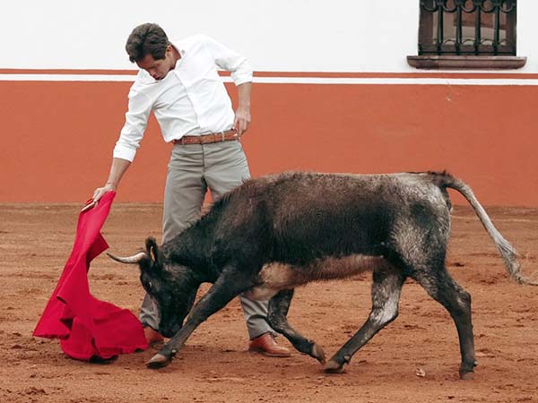 Disfrutando la embestida humillada