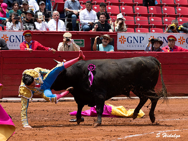 Luis Garza, tarde aciaga