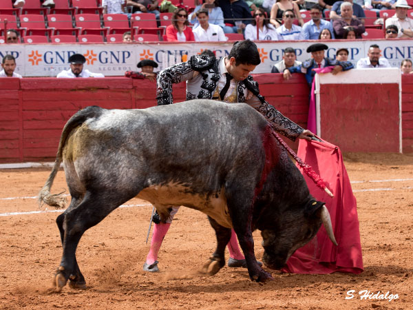 El quinto un gran novillo