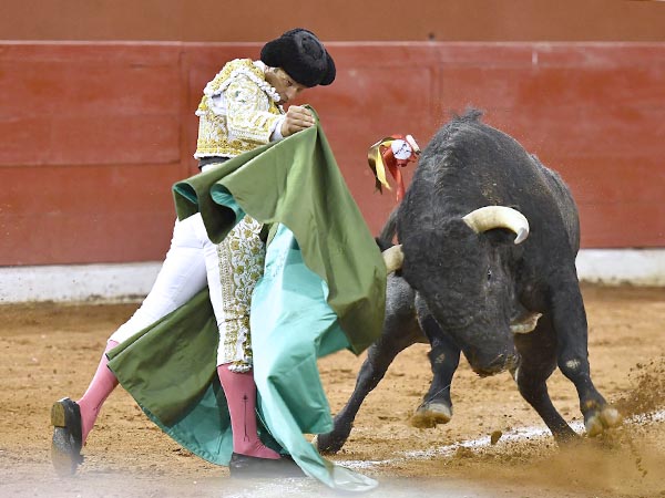 Percal en tonos de verde