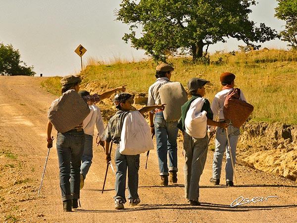 Soadores de gloria