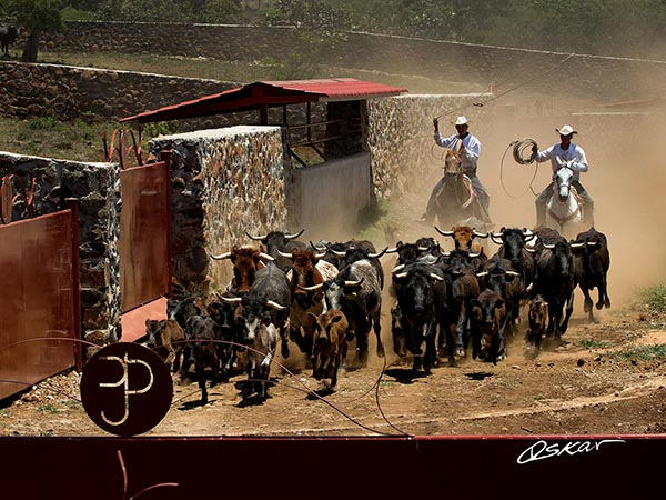 Carrerita del hato, en San Constantino