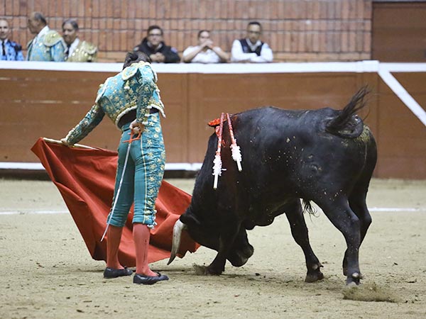 Alargando el trazo