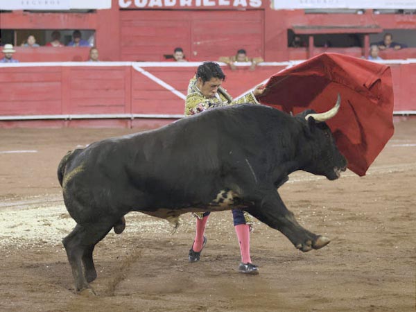 Abrochando la tanda