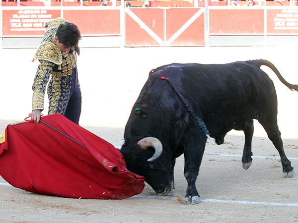 Tirando del negro