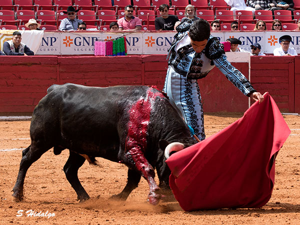 Mario Rangel, esforzado