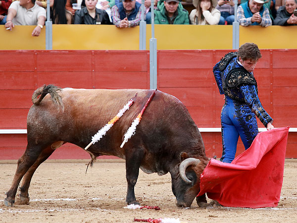 Detallando la obra