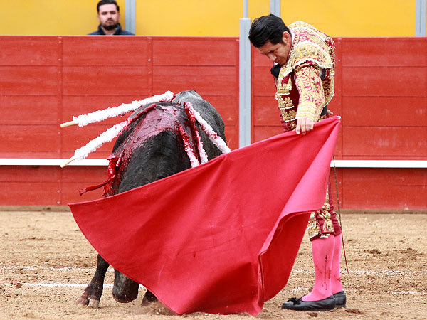 Estructurando con el de Cerro Viejo