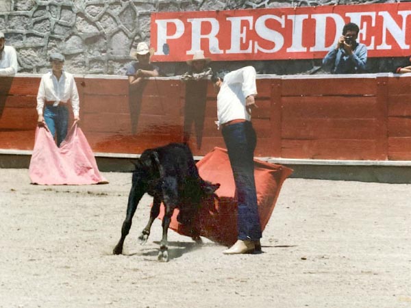 Calmando las ansias de novillero