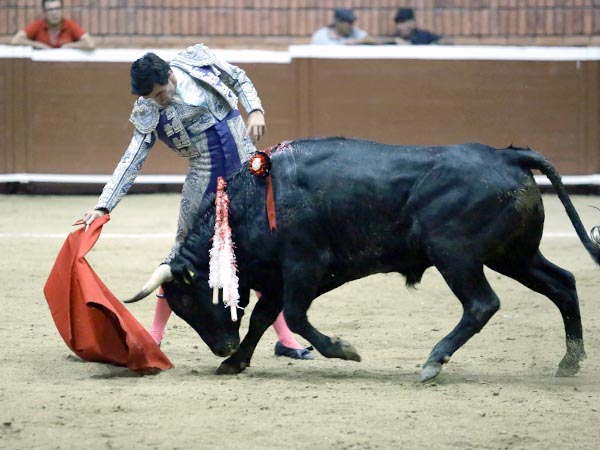 Templando al negro