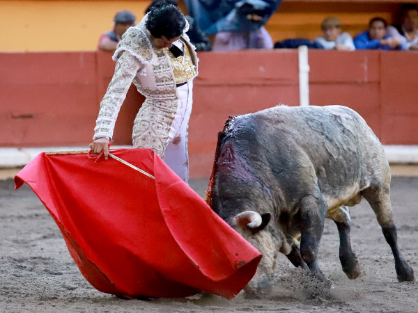 Encajado y torero