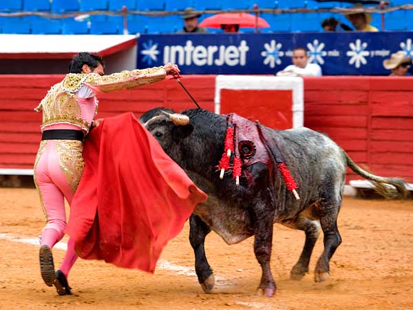 Perdi una oreja por la espada