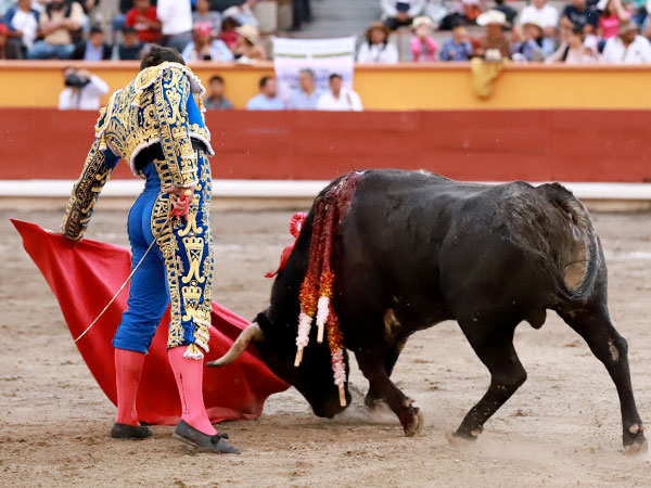 Embrujado en el vuelo