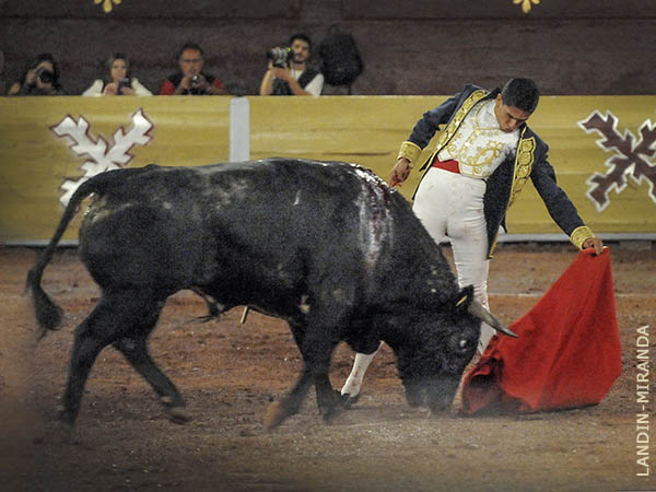 Despleg torera y pureza