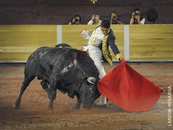 Metiendo el pecho al morillo y fundindose