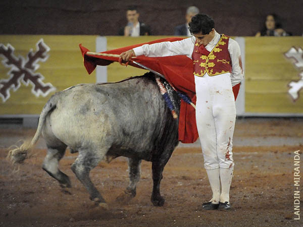 Variado, alegre, con disposicin