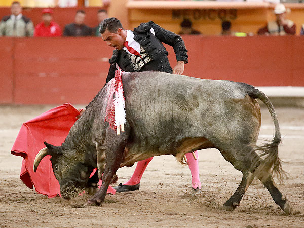 Calidad en la embestida