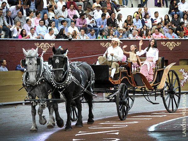 Las manolas hidroclidas