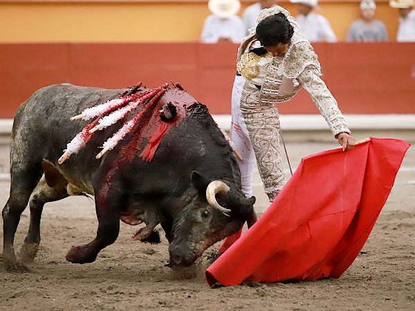 Temple, cadencia y ritmo