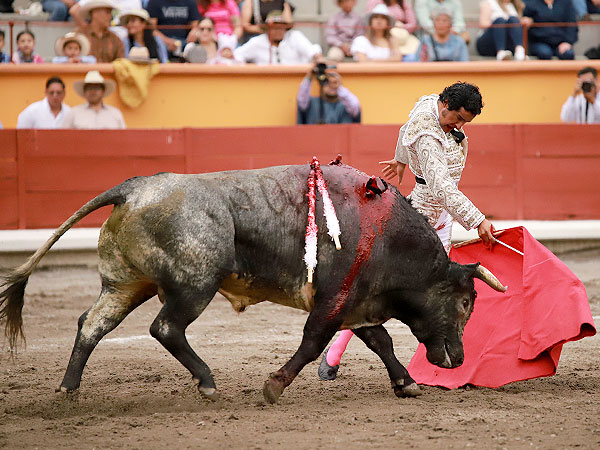 Enseando el camino