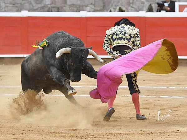 En el centro del ruedo