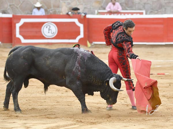 Oficio de torero