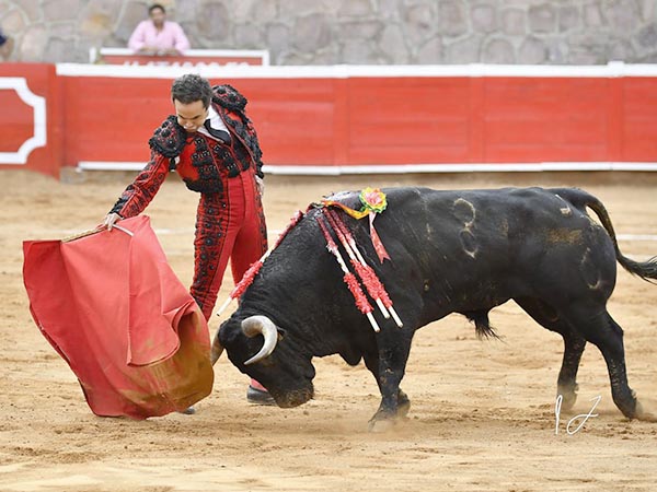 Bien plantado ante los tres ejemplares