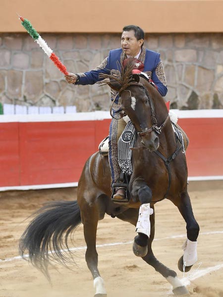 Banderilla en mano