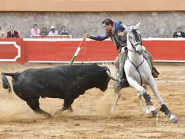 Voluntad de agradar