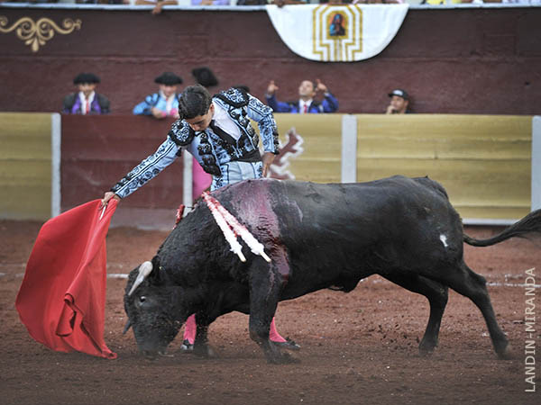 Templando al negro