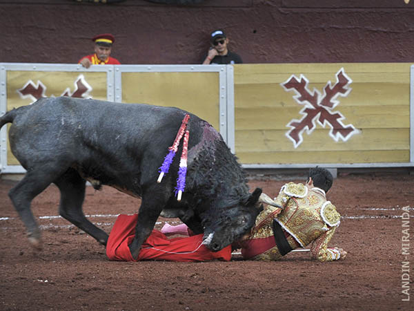 Lesionado y a merced del crdeno