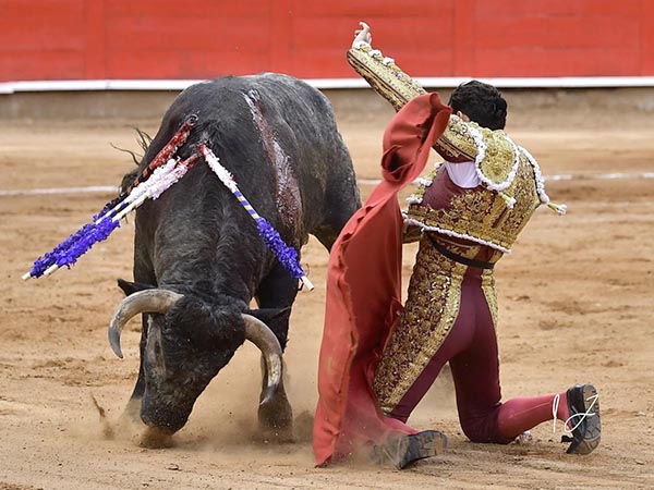 Rodilla en tierra