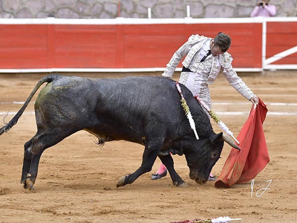 Toreo clsico del queretano