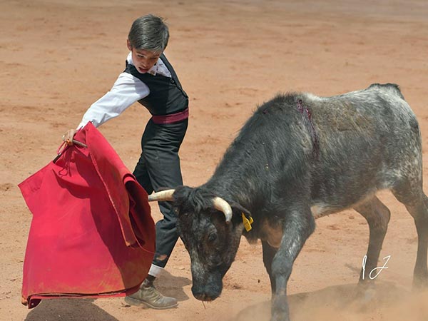 Una tienta con los toreros del mañana