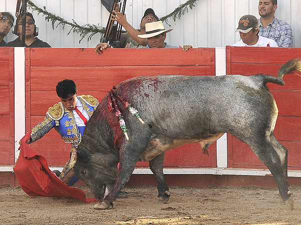 El comienzo de la faena