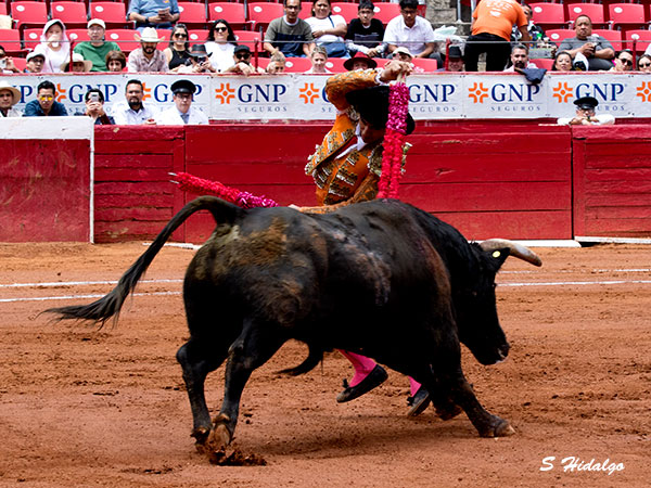 Bien en banderillas