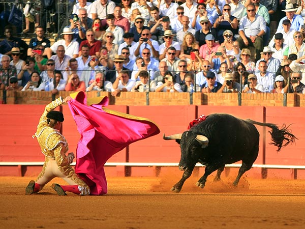 Larga, en los medios