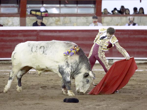 Faena izquierdista