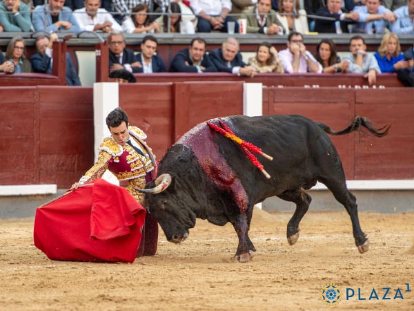 Prlogo de hinojos